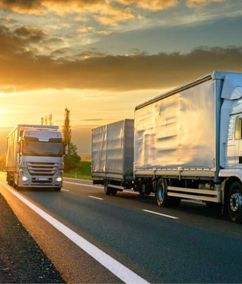 Empresas de Transporte por Estado